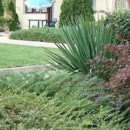 Sea Park Homes Neshkov 3* Warna