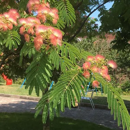 Sea Park Homes Neshkov מלון דירות וארנה