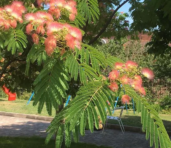 Sea Park Homes Neshkov Lejlighedshotel Varna